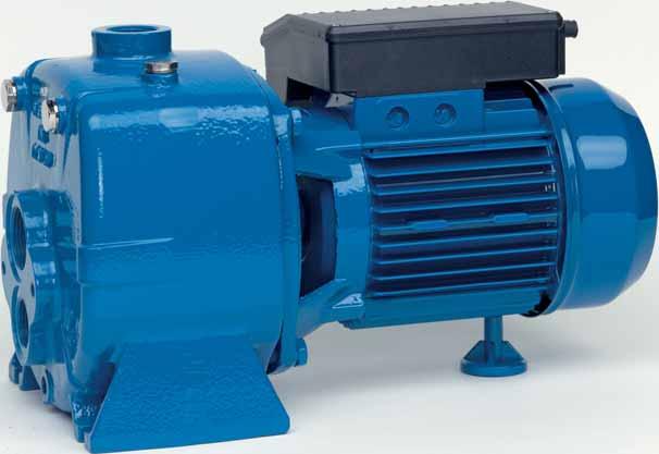 SELFPRIMING PUMPS FOR DEEP SUTION PM 1 DN F E D