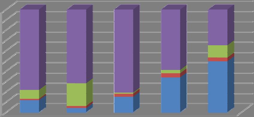 Figura 4: distribuzione percentuale degli stage per grado di possesso di competenze informatiche, linguistiche, organizzative, relazionali e tecniche (risposte ai questionari di valutazione finale