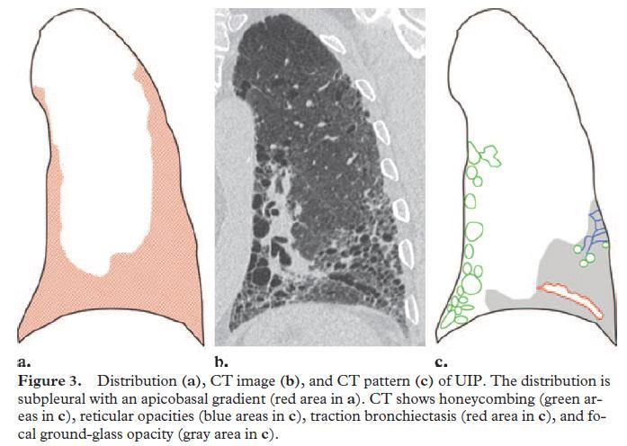 Fig.7