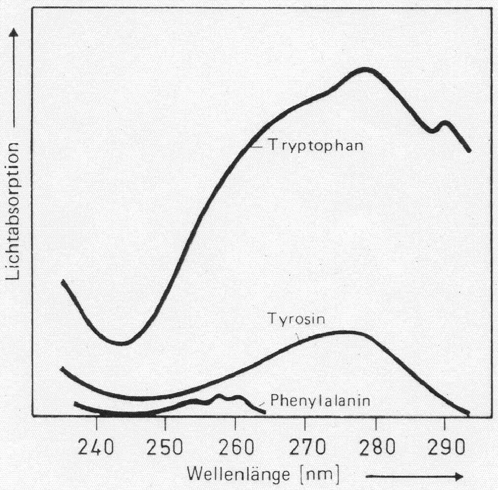 Determinazione quantitativa di proteine mediante assorbanza Si sfruttano le proprietà spetttrali di amminoacidi poco affetti dalla conformazione del backbone Si può determinare il coefficiente di