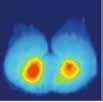 Completi di pompa e kit di riparazione. La fodera di rivestimento è in cotone sul lato superiore e antiscivolo nella parte inferiore. SK Cod.