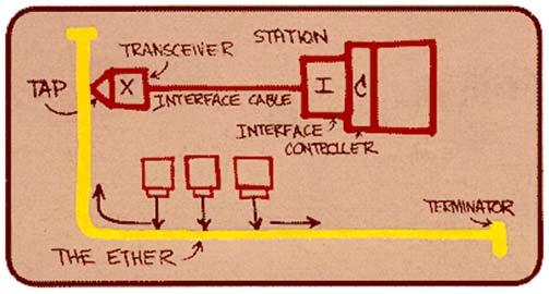 Ethernet 11 1970 ALOHAnet radio network deployed in Hawaiian islands 1973 Metcalf and Boggs invent Ethernet, random access in wired net 1979 DIX Ethernet II Standard 1985 IEEE 802.