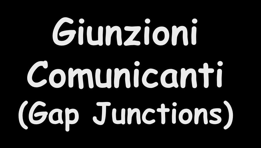 Giunzioni