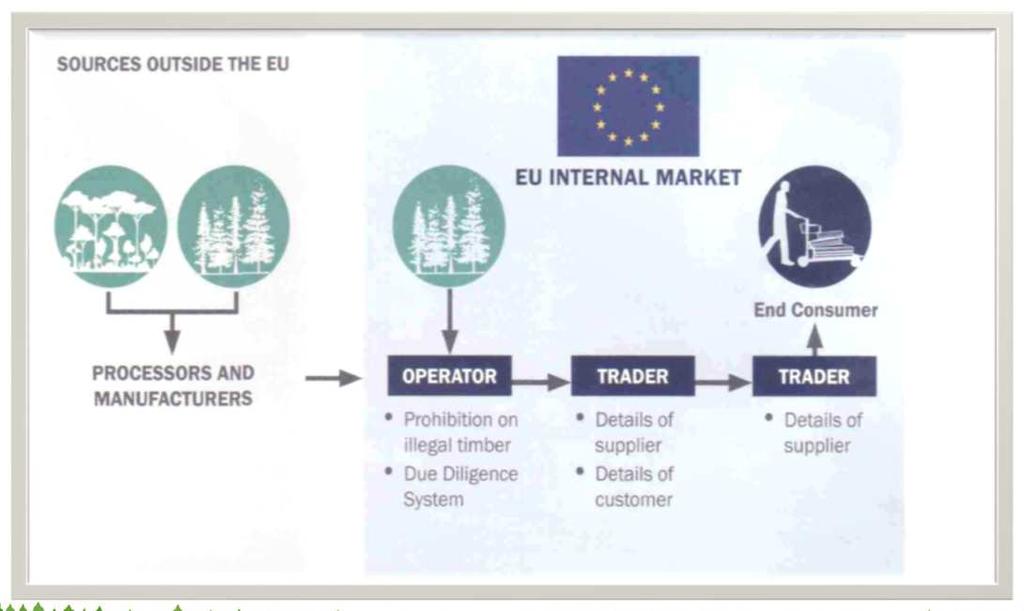 Schema del Regolamento (UE) N.