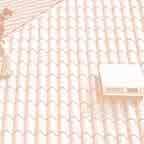 Il sistema di copertura caratteristiche del prodotto Cupola in policarbonato per lucernario Elemento di passaggio per ispezione su tetto o come illuminazione di un vano sottostante.