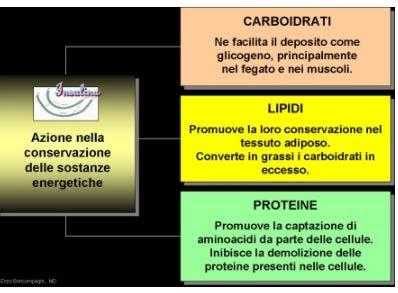 Stimola l utilizzo