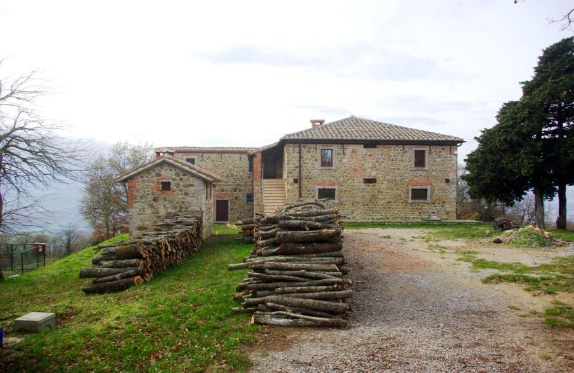 Il patrimonio agricolo forestale indisponibile della Regione Toscana è formato dai beni agricolo forestali trasferiti dallo Stato, e dagli altri beni che la Regione stessa ha acquisito o che sono ad