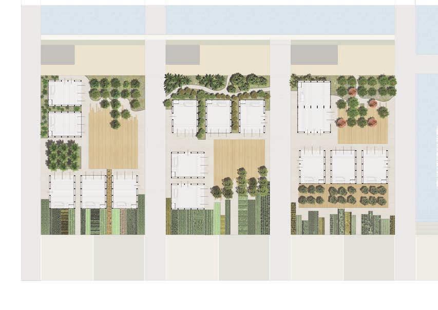 COMPLETE PLAN OF GROUND FLOOR, GREEN SYSTEM AND COMMUNAL SPACES