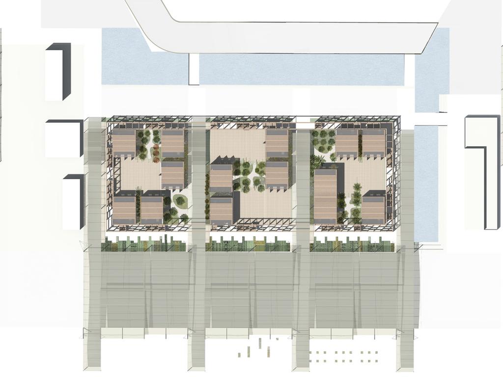 SITE PLAN OF THE CLUSTER IN THE CONTEXT PLANIVOLUMETRICO