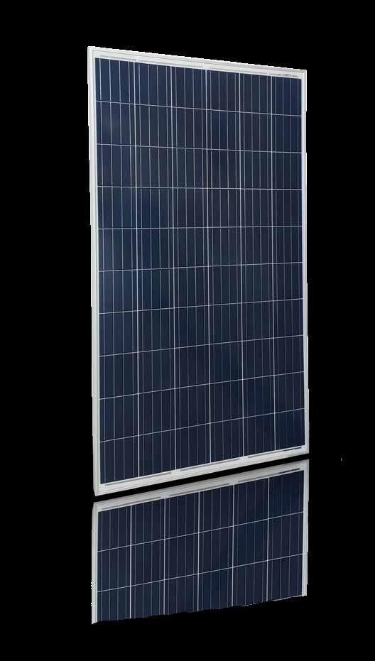 TRIENERGIA COE-250P60L - COE-260P60L - COE-270P60L Trienergia COE-xxxP60L Modulo Fotovoltaico Poly Poly Photovoltaic Module Premium quality Poly 60 celle Modulo fotovoltaico Poly rettangolare con 60