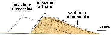 1 - Definizione e caratterizzazione geomorfologica del sistema dunale 1.