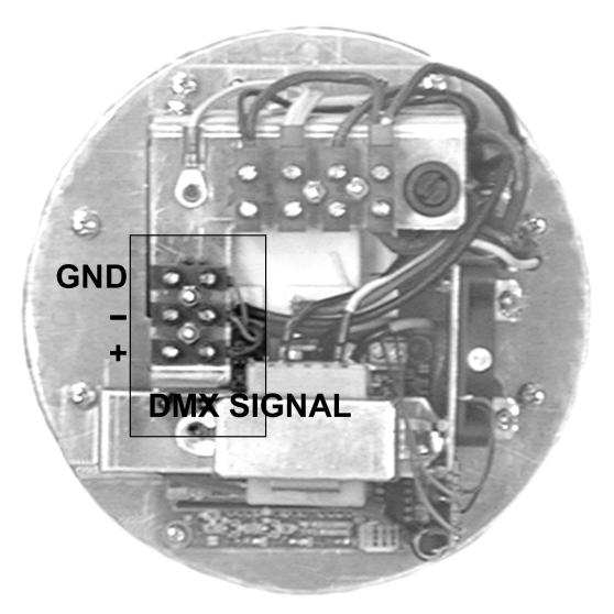 La connessione del segnale DMX all interno del proiettore