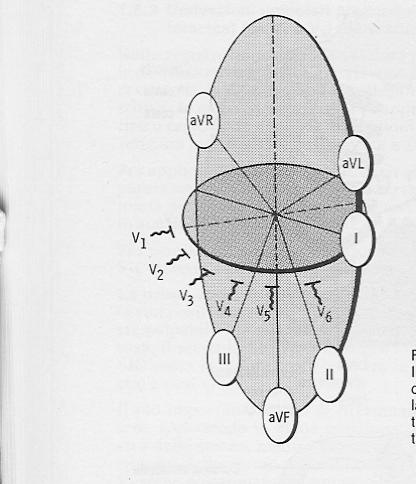 Utilizza tecniche mono-dimensionali (M-mode), studiando il movimento delle strutture