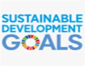 U.N. SDGs STRUTTURA Introduzione del Rettore Key Facts di UNIBO 17 Sezioni dedicate a