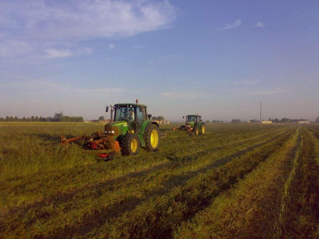 LAVORI PREPARATORI DEL TERRENO : lavorazioni che permettono il conseguimento di un letto di semina sgombro da malerbe, sminuzzato quanto basta perché si possa verificare un buon contatto fra seme e