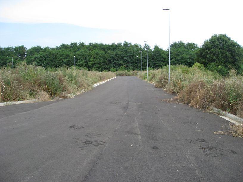 nslt 5 SENZA NOME edificata, ed inizia da Via del Fondaccio e termina in Via del