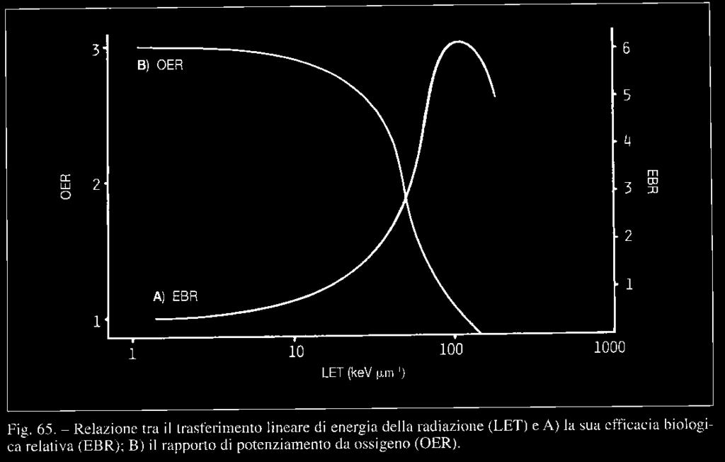 biologico in presenza di ossigeno Nella figura viene riportato l andamento dell Effetto Ossigeno e dell EBR in