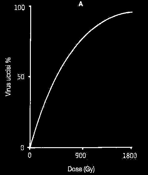 Effetti deterministici ed effetti stocastici Se torniamo a considerare le curve dose-effetto, e prendiamo in considerazione non la sopravvivenza ma la morte o (altro effetto di riferimento) vediamo