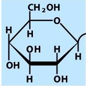 Cerebrosidi, globosidi e gangliosidi sono GLICOSFINGOLIPIDI o GLICOLIPIDI Non sono fosforilati Cerebrosidi e globosidi sono glicolipidi neutri Gangliosidi: possono avere uno o più residui di zuccheri