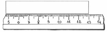 Quanto misura all incirca l'area racchiusa dalla linea curva? A. Meno di 8 cm2 B. Più di 8 cm2 e meno di 3 cm2 C. Più di 3 cm2 e meno di 2 cm2 D.