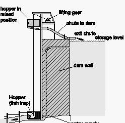 Ascensori Categoria: strutture speciali Vasche a sollevamento meccanico per il trasporto dei pesci da valle a monte; il collegamento tra il fiume e la vasca di cattura è realizzato con un canale nel