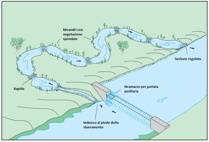 si mantenga integralmente nel canale by-pass prevedendo eventuali accorgimenti costruttivi per l impermeabilizzazione del fondo, che escludano l uso di cls).