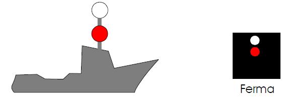 NAVE PILOTA, PILOTINA (Regola 29) Ferma 2 fanali 360 in verticale, bianco sopra e rosso sotto