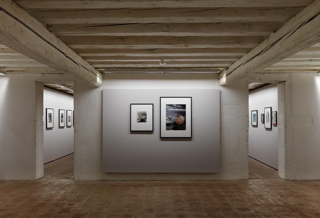 IL MUSÉE DE L ELYSÉE ORGANIZZA QUATTRO ESPOSIZIONI