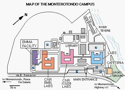 Rapporto efficienza energetica CNR 2013 / IBCN Monterotondo Gli edifici del Campus sono stati costruiti negli anni 70 dall ENI in struttura prefabbricata e con prestazioni energetiche modeste.