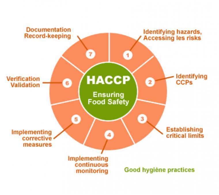I sette principi dell HACCP Gestione della documentazione Individuazione dei pericoli ed analisi del rischio Definizione delle attività di verifica