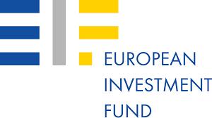 1. Il Fondo Europeo per gli Investimenti Strategici (FEIS) Obiettivo: mobilitare a livello EU almeno 315 Mld di finanziamenti aggiuntivi a condizioni di mercato per investimenti in progetti