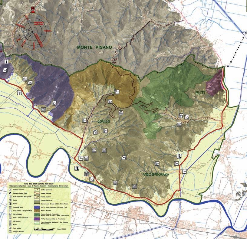 Contributo alla Flora Micologica del Monte Pisano III Estratto Cartografia Strada dell Olio Monti Pisani a cura di Massimo Gasperini, 2011.