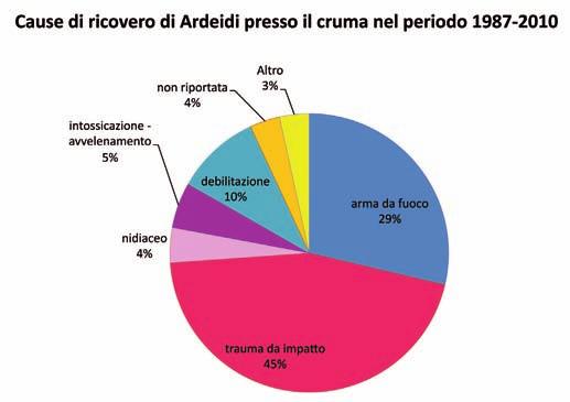 Provenienza degli Ardeidi ricovera0 presso il CRUMA dal 1987 al 2010 65 In Toscana Fuori Toscana 48 6 3 41 28 27 31 33 40 39 16 33 31 26 33 20 38 24 22 20 15 22 20 11 10 31 3 26 25 22 21 17 17 15 16