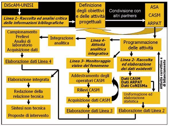 2. Rationale Lo studio condotto è stato articolato durante due anni solari ed organizzato su quattro linee di intervento principali: i) raccolta ed analisi critica delle informazioni bibliografiche