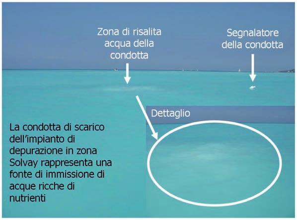 Formazione di schiume persistenti nell area marino-costiera di Rosignano Marittimo Figura 3: Sversamento della condotta del depuratore dei reflui urbani in località Spiagge bianche.