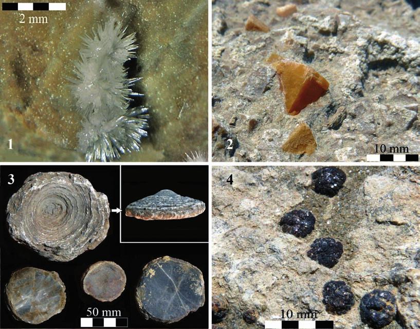 I minerali di Poggio della Quercia (Collesalvetti - Livorno). Una nuova località mineralogica per i Monti Livornesi barite nelle fessure dei calcari.