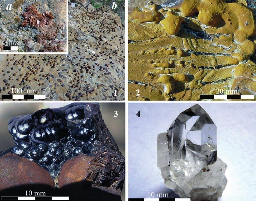 Figura 3: 1a) dolomite; 1b) pirite; 2) limonite; 3) goethite; 4) quarzo. incolori e molto brillanti con il classico abito prismatico esagonale (fig. 3-4), spesso allungato.