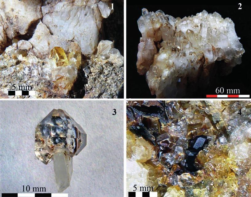 I minerali di Poggio della Quercia (Collesalvetti - Livorno). Una nuova località mineralogica per i Monti Livornesi calcareo marnoso di Monteverdi M.mo è molto comune.