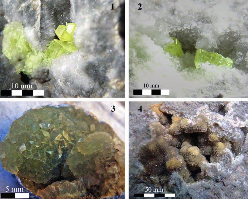 I minerali di Poggio della Quercia (Collesalvetti - Livorno). Una nuova località mineralogica per i Monti Livornesi Figura 5: 1-2) zolfo; 3-4) calcite.