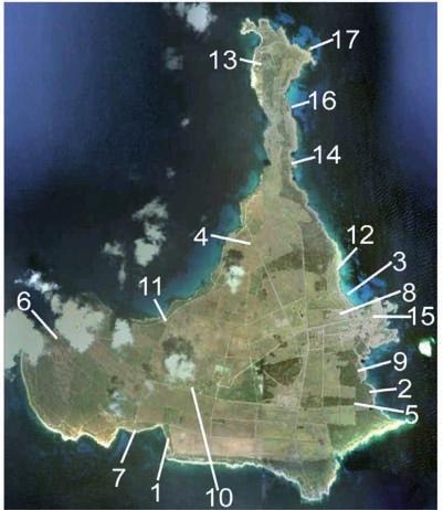 Materiali e Metodi Campionamento La campagna di campionamento del 2007 è stata condotta in 17 siti dislocati in varie parti dell isola di Pianosa (Tab. 1; Fig. 1).