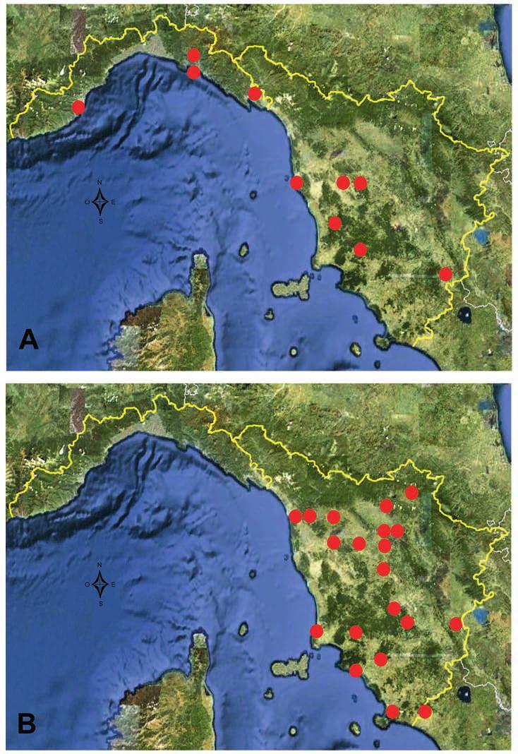 Figura 4: Distribuzione di A) Atyaephyra desmarestii