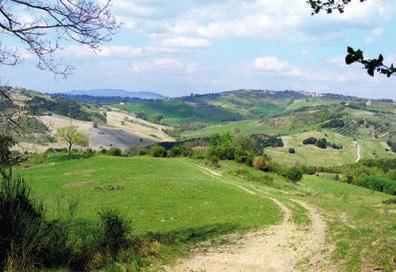 La linea verde segna i confini della riserva di Monterufoli-Caselli.