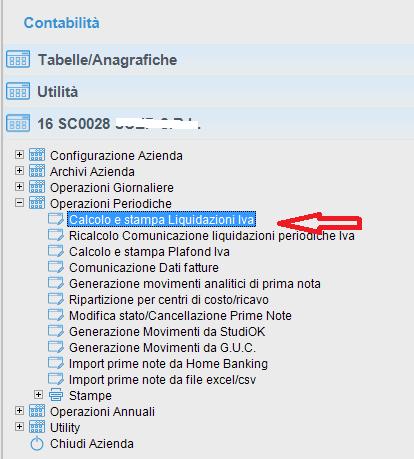 vera e propria liquidazione IVA che considera le operazioni effettuare e registrate