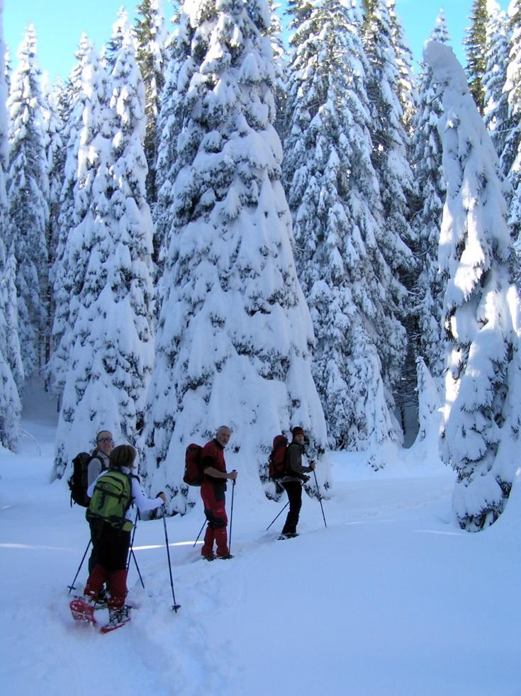 Contemplazione camminare, arrampicare,