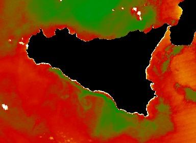 MAPPE DI CLOROFILLA 1,4