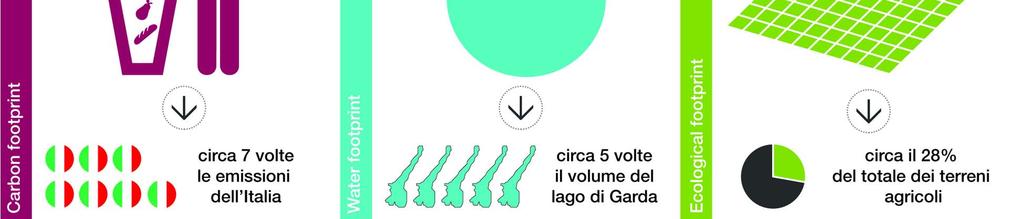 footprint Land Occupation Circa 8 volte le emissioni di CO 2 in Italia Circa 5 volte il volume