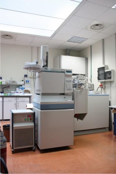 L uso di gas cromatografo accoppiato con una spettrometria di massa per impatto elettronico e per ionizzazione chimica ha permesso di facilitare il riconoscimento di molti sottoprodotti formatisi