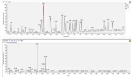 Sembrava quindi perfettamente logico aspettarsi che nell atomo vi fossero solo queste due particelle.