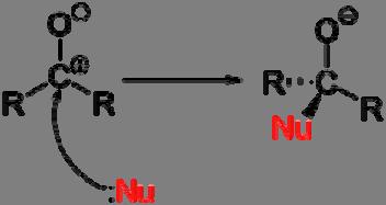 (cisteina o treonina proteasi) o una molecola di acqua (aspartato, metallo o glutamato proteasi) in modo che possano attaccare il gruppo carbossilico del legame peptidico.