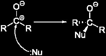 rendendoli nucleofili. [N.B. Agente nucleofilico: specie chimica che dona una coppia di elettroni ad un elettrofilo per formare un legame chimico.